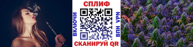 МАРИХУАНА планчик  Купить где  Спас-Деменск 